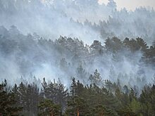 В Сибири сократилась площадь пожаров