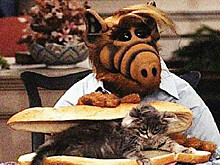 Питающийся кошками инопланетянин Альф вернется на экраны