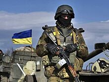 СП: Шишкин заявил, что по мере сокращения численности ВСУ, количество наемников будет расти