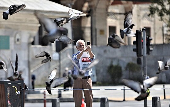 В АТОР рассказали, что будет с деньгами за отмененные новогодние ужины в Турции