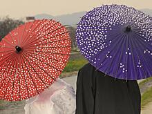 В Японии юноша завел роман с 83-летней бабушкой одноклассницы