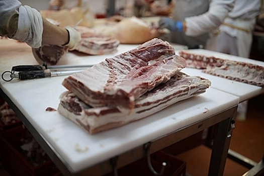 Школьников накормили мясом с трупным ядом