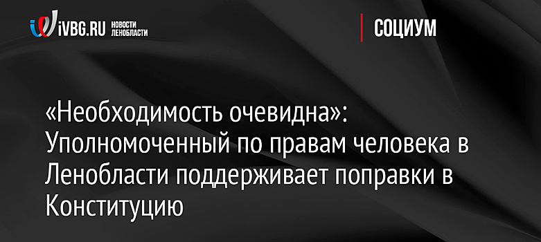 «Необходимость очевидна»: Уполномоченный по правам человека в Ленобласти поддерживает поправки в Конституцию