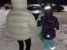 Криминалист оценил личность похитителя 9-летней девочки в Смоленске