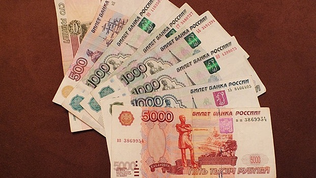 В Пензе полицейские пресекли 18 фактов взяточничества
