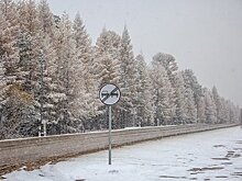 РЖД расширит участок Беркакит-Бестужево в Якутии
