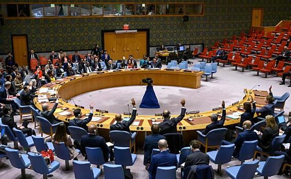 Смогут ли Индия и Бразилия сделать Совбез  "нашим"
