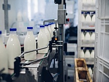 Компания «Биотроф» перенесла комплекс по производству кормовых добавок в Ленобласть