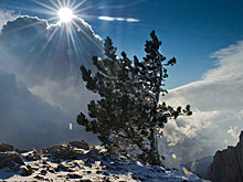 Власти Севастополя не приемлют никаких условий возврата Крыма Украине