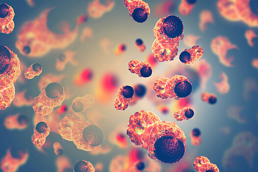 От герпеса до лимфомы один шаг: как в России изучают вирусы, вызывающие рак