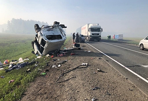 В Омской области из-за задымления на трассе произошло смертельное ДТП