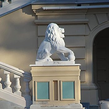 «Я тебя слепила из того, что было»: Киевляне о скульптурах львов у Мариинского дворца
