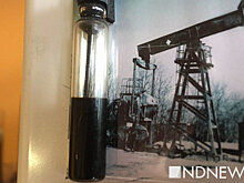 Эксперты РАНХиГС констатировании сохранение зависимости экономики РФ от нефтегазовых доходов