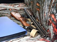 В деревне под Ярославлем неизвестные подстрелили пса