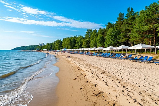 В Новосибирске возродят знаменитый городской пляж «Наутилус»
