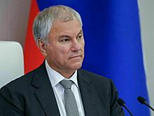 Володин: Качественная подготовка в профессии лучше купленного диплома о высшем образовании