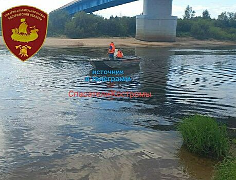 Пропавшего костромича обнаружили мертвым в реке