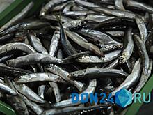Из Ростовской области экспортировали свыше 11 т мороженой рыбы