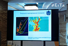 Интерактивную карту лесных пожаров представили в правительстве Приморья