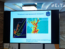Интерактивную карту лесных пожаров представили в правительстве Приморья