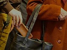 Туристов из США и Германии обокрали в центре Петербурга