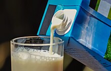 Россельхозбанк назвал четыре главных драйвера развития молочной отрасли