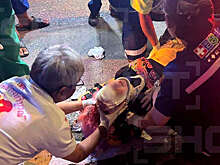 SHOT: россиянка находится в критическом состоянии после ДТП в Таиланде