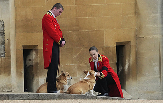 Любимую невестку Елизаветы II вместе с корги королевы вышвырнули из дворца: теперь она бездомная
