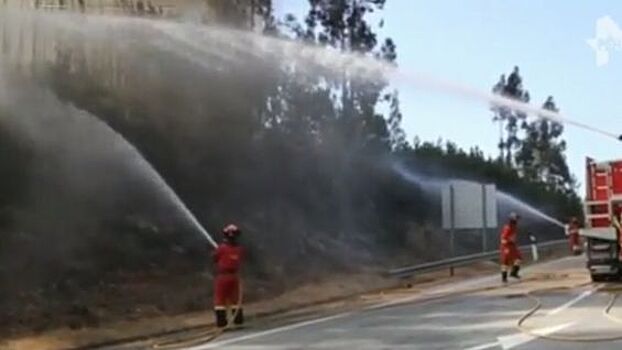 В Португалии 45 человек пострадали в результате лесных пожаров