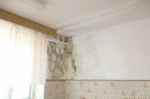 Грибок до Москвы доведет. Волгоградскую больницу сняли столичные журналисты