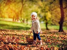 Познавательная программа для дошкольников в КЦ «Зеленоград»