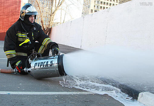 Пожар в частных домах в Новой Москве ликвидировали