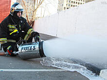 Пожар в частных домах в Новой Москве ликвидировали