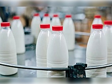 Сельхозорганизации увеличили объем производства молока почти на 2%