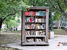 Библиотека в Екатеринбурге впервые номинирует кандидата на премию имени Астрид Линдгрен