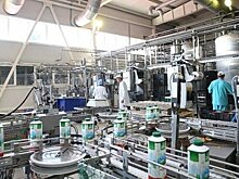 Молочный бизнес башкир в Татарстане подешевел в 10 раз после оценки