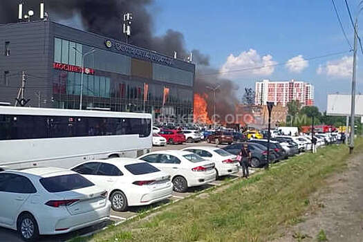 Пожар охватил площадь в 1,1 тыс. квадратных метров под Одинцово