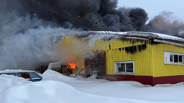 Пластиколитейный цех загорелся в подмосковной деревне Духанино