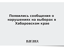 Появились сообщения о нарушениях на выборах в Хабаровском крае