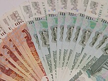 Директор рязанского предприятия заплатил сотрудникам более миллиона рублей долга по заработной плате