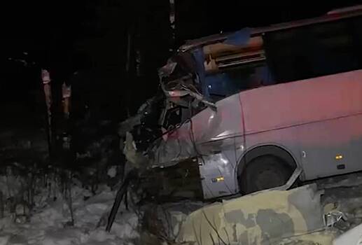 В российском регионе фура протаранила автобус