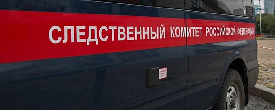 Новосибирские следователи раскрыли таинственное убийство таксистки
