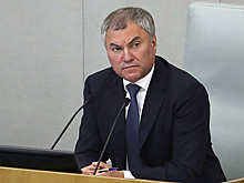 Володин призвал принять меры прокурорского реагирования по отношению к Meta