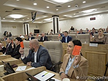 Депутаты нового созыва думы Екатеринбурга разошлись по комиссиям