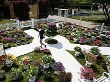 Названы самые необычные сады фестиваля Moscow Flower Show