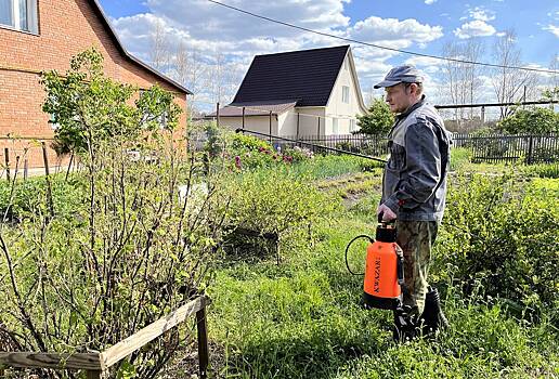 В дачную амнистию захотели включить два новых типа построек