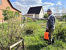 В дачную амнистию захотели включить два новых типа построек