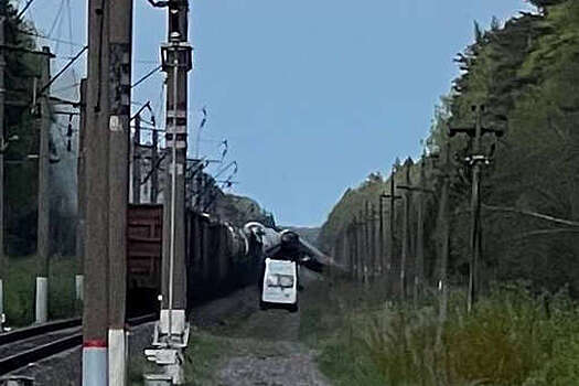 РБК: в Брянской области неизвестные совершили подрыв на железной дороге