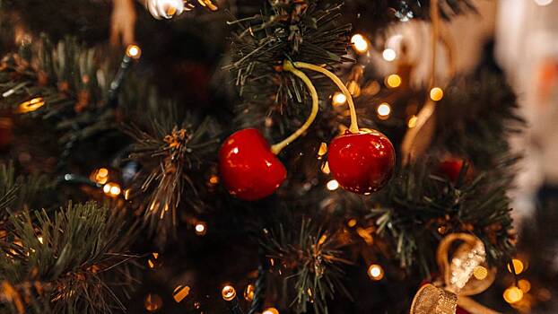 На маркетплейсах появились необычные елки-половинки: стоит ли их покупать