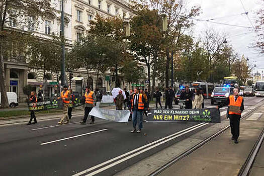 Экоактивисты пожаловались на избиение и наезды со стороны водителей в Вене